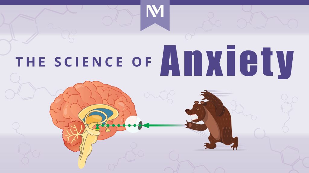 Anxiety – Stress or Fear-Related Behaviors